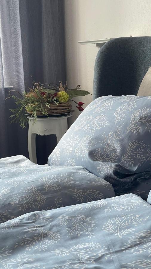 Ferienwohnung Weitsicht Hüttenrode المظهر الخارجي الصورة